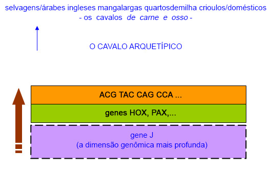 É a informação genômica original