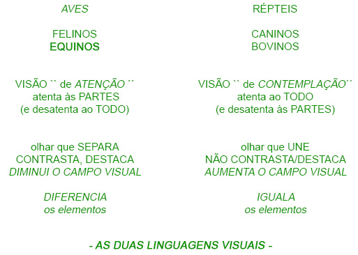 As duas linguagens visuais