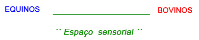 Espaço sensorial