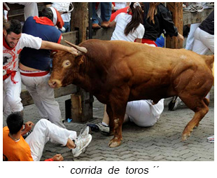 Corrida de toros