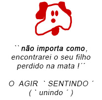 O agir sentindo