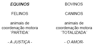 Animais de coordenação motora