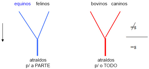 Atraídos para o todo/parte