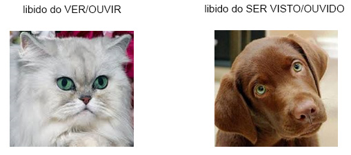 Libido