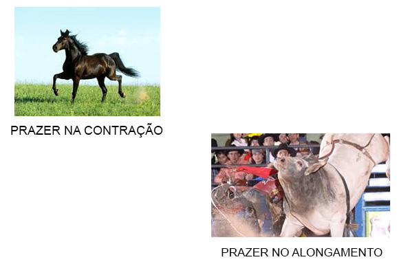 Percepção