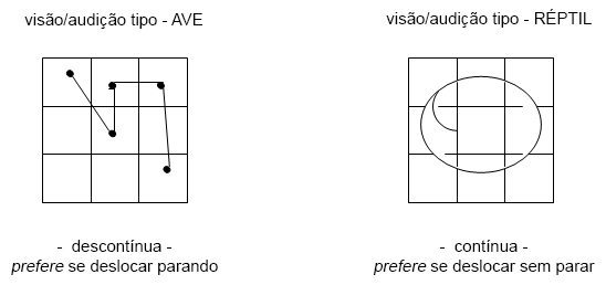 As duas visões