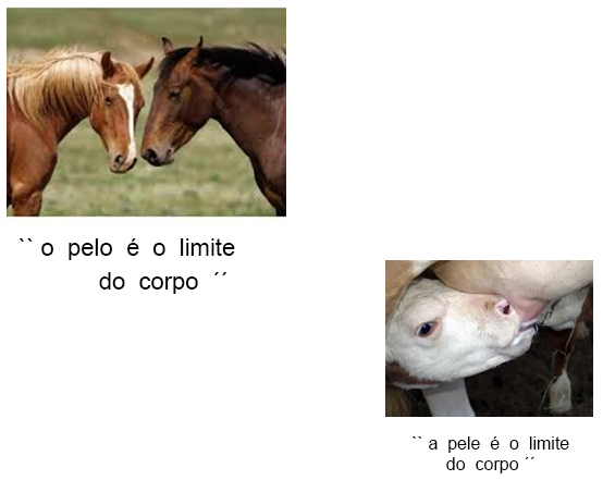 Percepção