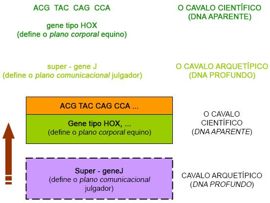 O DNA do cavalo