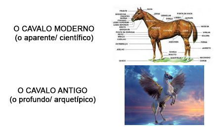 O cavalo